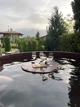 Виллы Ski & Spa Chalet Bansko Банско-12